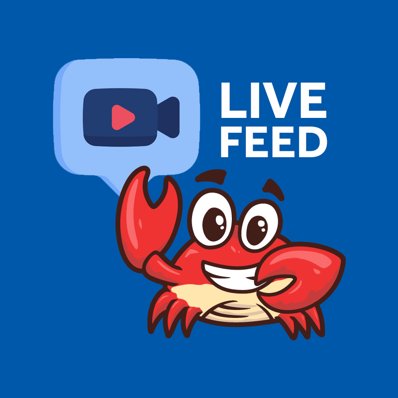 Live Feed for Butler's Seafood Buffet
